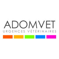 Urgences VETERINAIRE Nice | Le Groupe ADOMVET Urgences VETERINAIRE Nice | Le Groupe ADOMVET