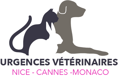 Urgences VETERINAIRES Nice Urgences VETERINAIRES Nice