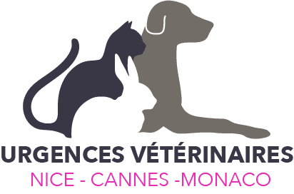 Urgences VETERINAIRES Nice